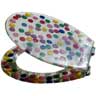 GIANT SMARTIES BATHROOM WC LUXURY TOILET SEAT 10069