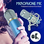 Pro Blue Condenser Dynamic Microphone Mic Sound Studio Recording Shock Mount 