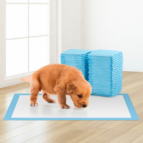 50 Large Puppy Training Trainer Train Pads Toilet Pee Wee Mats Poo Dog Pet Cat