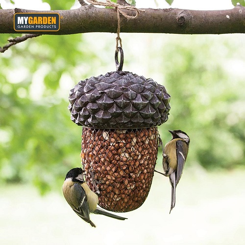   Acorn Bird Feeder