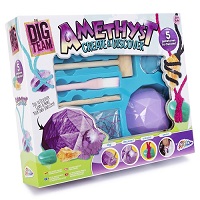 DIG-Amethyst Kit