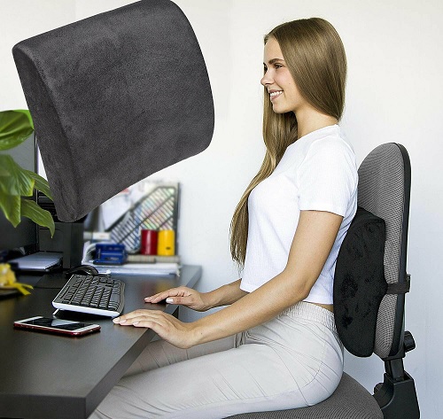 Posture Therapy Lumbar Back Support Cushion Office Car Chair Seat Sciatica Disc