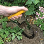 Bulbplanter for garden plantation