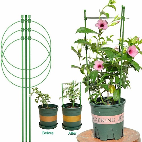 2216  Conical Garden Plant Support Ring for Different Sized Pots Support Flowers Stalk