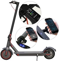 350W Adult Electric Scooter 42V Battery Motor Pro E-Scooter 30km Range Folding