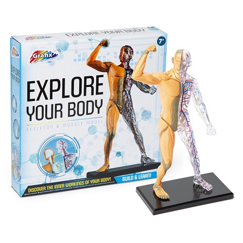 Amazing Human Body Activity Sets 