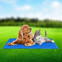 LARGE 60 x 90 cm Magic Pet Dog Cat Cool Cooling Gel Mat Bed Pillow Cushion Pad Summer Heat Relief