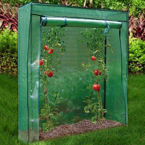 Tomato Greenhouse Reinforced Frame & Cover Outdoor Garden Plant Grow Green House