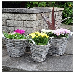 Garden Planters