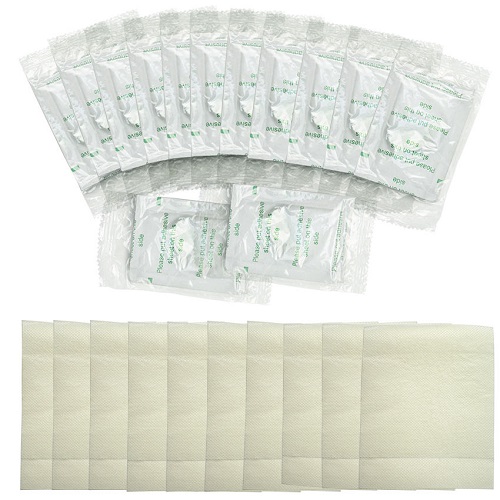 100x Kinoki Detox Foot Pads/Patches.