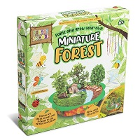  Paint and Grow Your Own Miniature Forest Planter Pebbles Wooden House Create