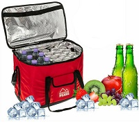  Large 30L Insulated Picnic Cooler Bag