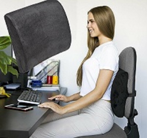 Posture Therapy Cushioned Back Support